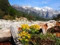 Albanische-Alpen